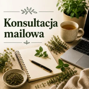 Konsultacja mailowa